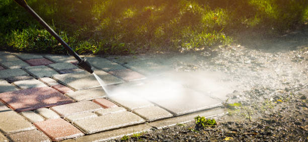 Best Dumpster Area Cleaning  in Marquette Heights, IL